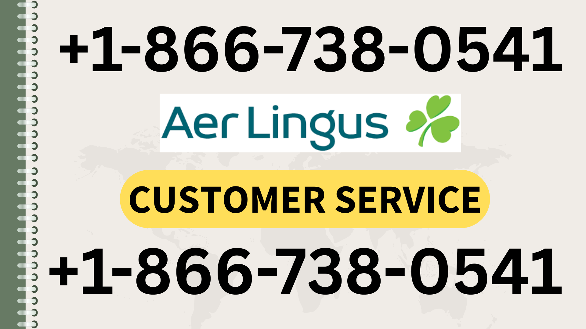 Spirit Airlines Missed Flight Policy Next Steps for Passengers — Virginia Zoo